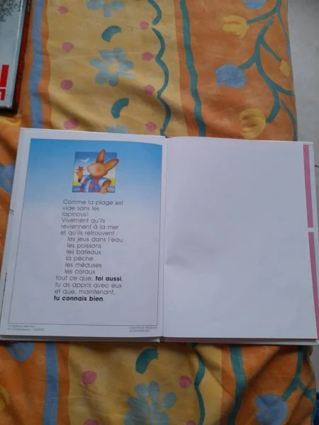 Les lapinous découvrent la mer - Livres - Saint-Satur (18300)