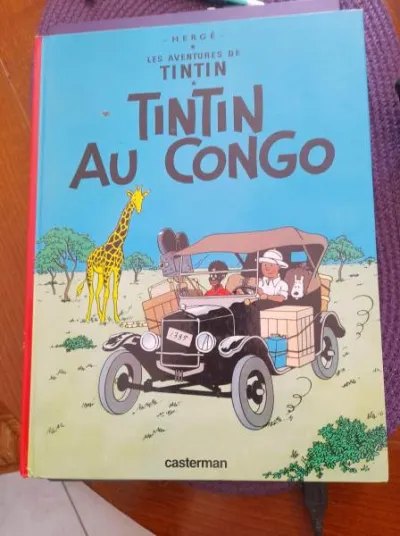 Bd tintin au congo - Livres - Saint-Satur (18300)