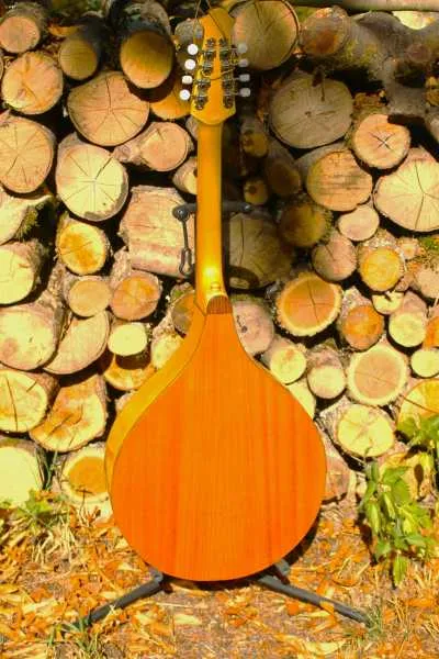 Mandola sol ré la mi , diapason : 50 cm - Musique - Cahors (46000)