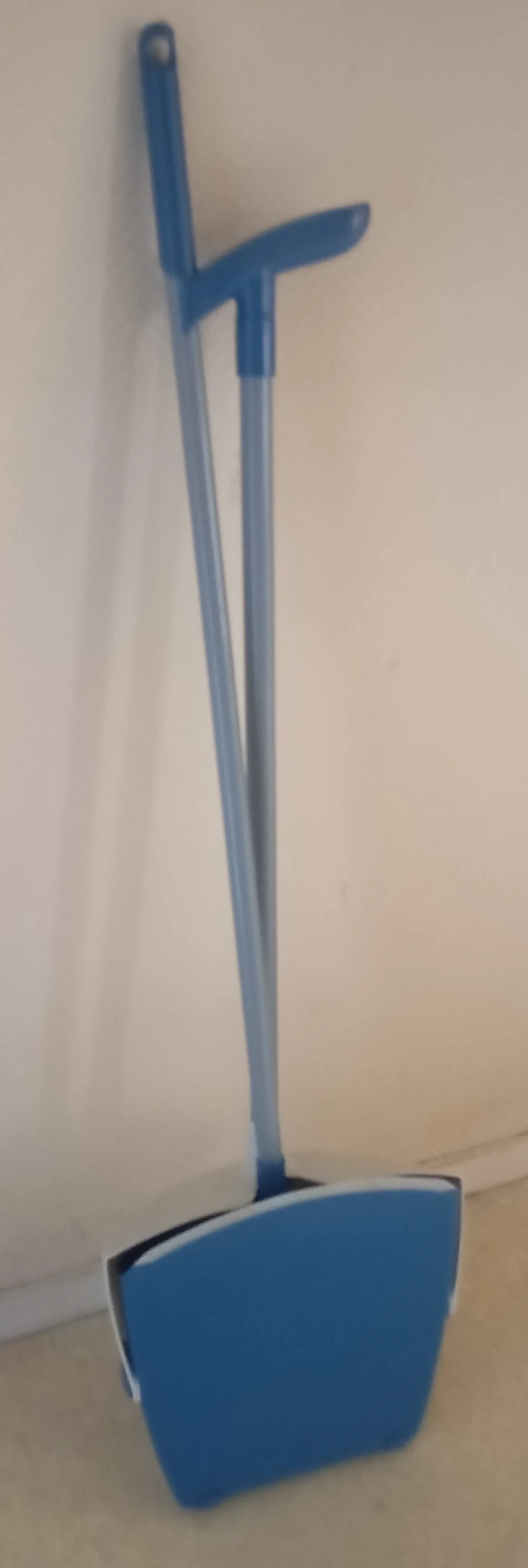 Pelle & Balayette double fonction - Électroménager - Talence (33400)