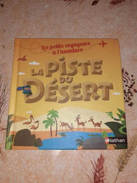 La piste du désert - Livres - Saint-Satur (18300)