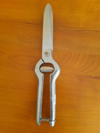 Ciseaux à volailles 29 cm - Collection - Saint-Satur (18300)