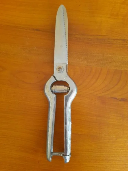 Ciseaux à volailles 29 cm - Collection - Saint-Satur (18300)