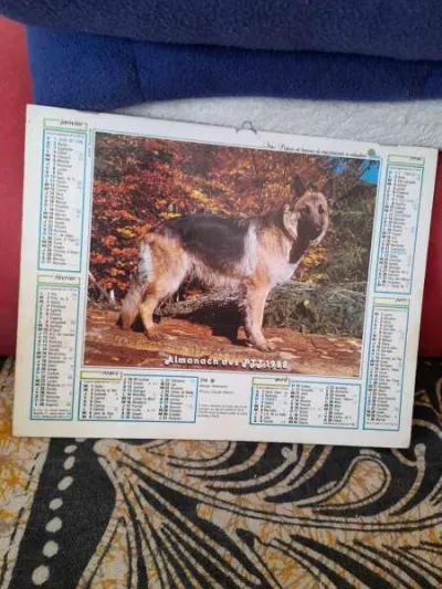 Almanach du facteur 1988 - la poste - Collection - Saint-Satur (18300)