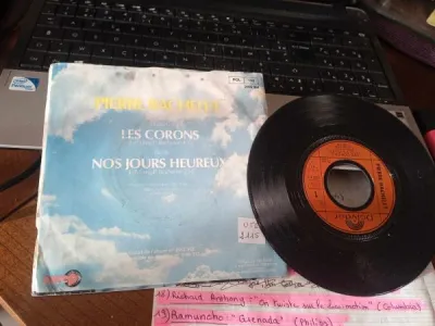 45 t " pierre bachelet" - photo 2