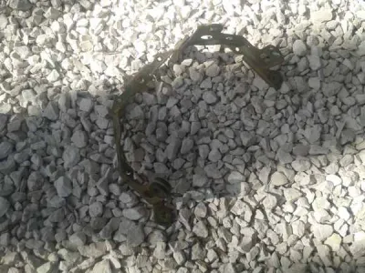 Support feux honda 900 cbr 1993 - photo 3