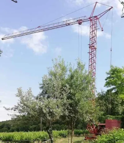 Grue esteve 12/14 - photo 2