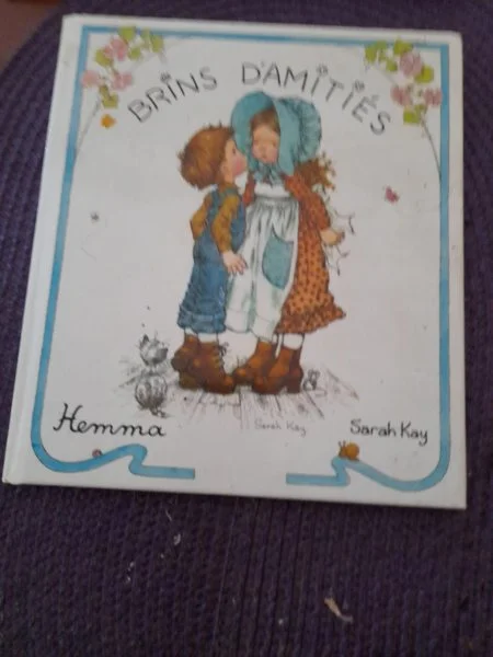 Livre brins d'amitiés - sarah key - Livres - Saint-Satur (18300)