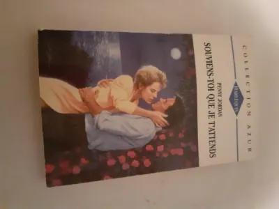 Livre "souviens toi que je t'attends" - Livres - Saint-Satur (18300)