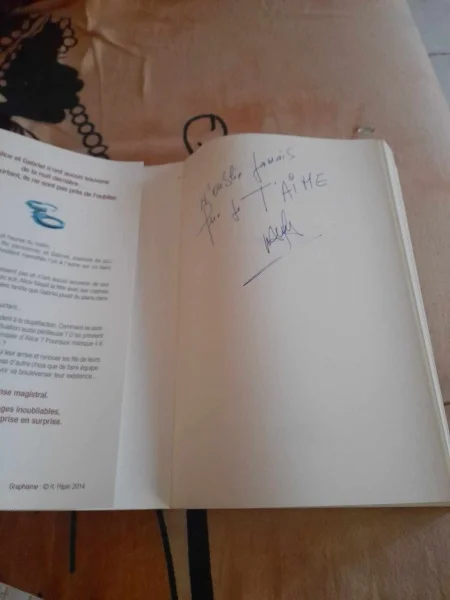 Central park - guillaume musso - Livres - Saint-Satur (18300)