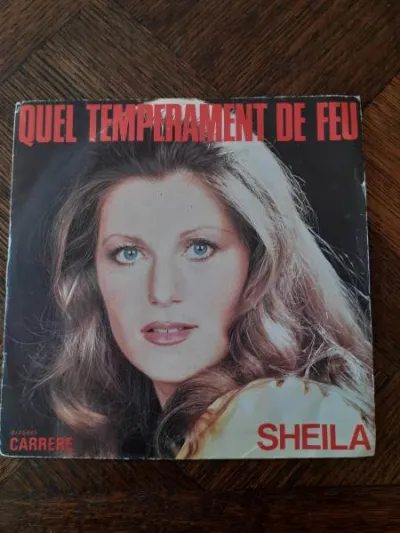 45 t "sheila" - CD, DVD & Vinyles - Saint-Satur (18300)