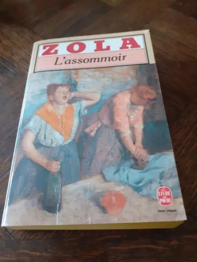 Livre zola " l'assommoir " - Livres - Saint-Satur (18300)