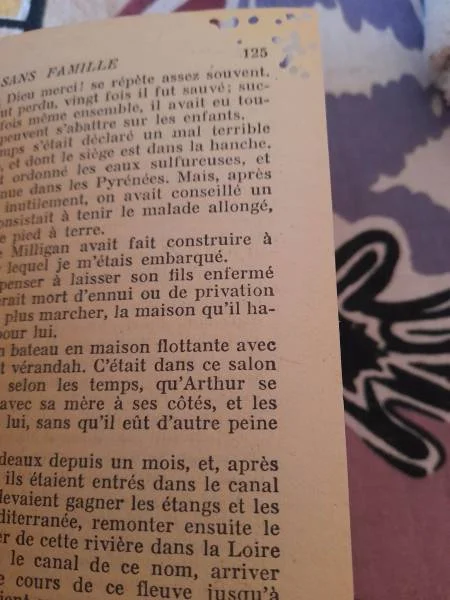 Livre sans famille tome 1 - hector malot - Livres - Saint-Satur (18300)