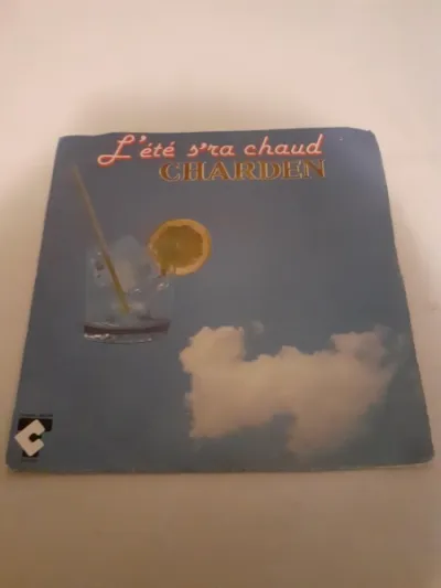 45 t " charden" - CD, DVD & Vinyles - Saint-Satur (18300)
